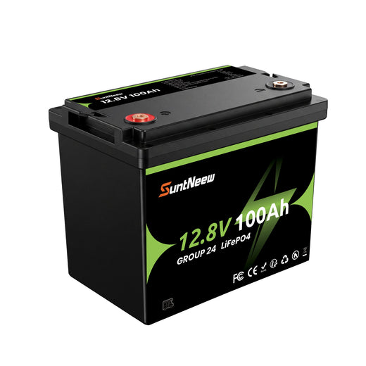 SUNTNEEW 12.8V 100Ah LiFePO4 RV battery, Group 24