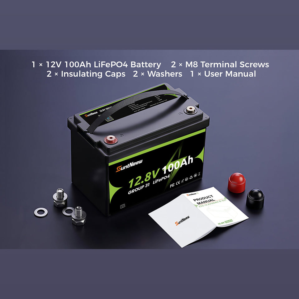 Group 31 100Ah LiFePO4 battery package contents