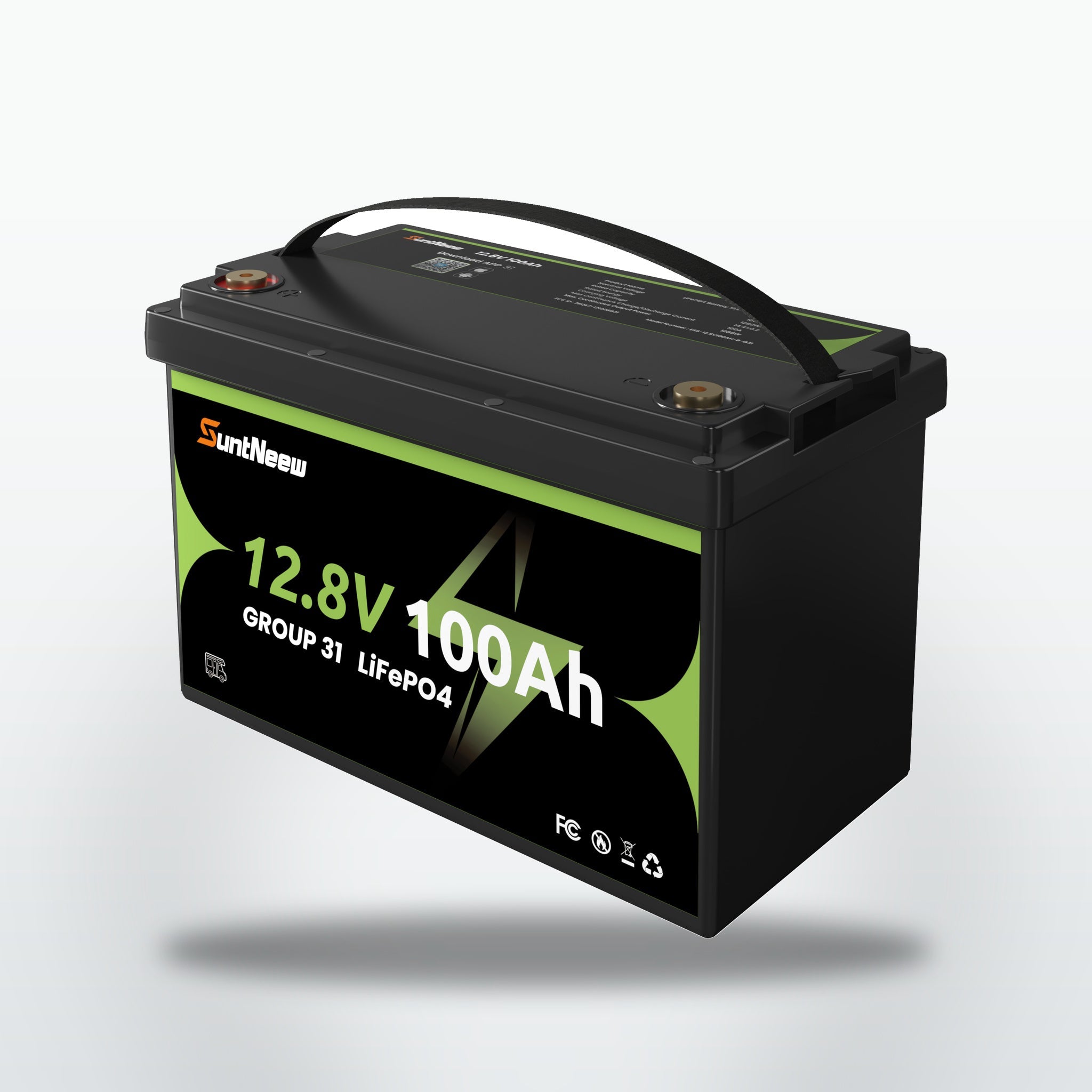 SUNTNEEW 12.8V 100Ah Group 31 LiFePO4 RV battery