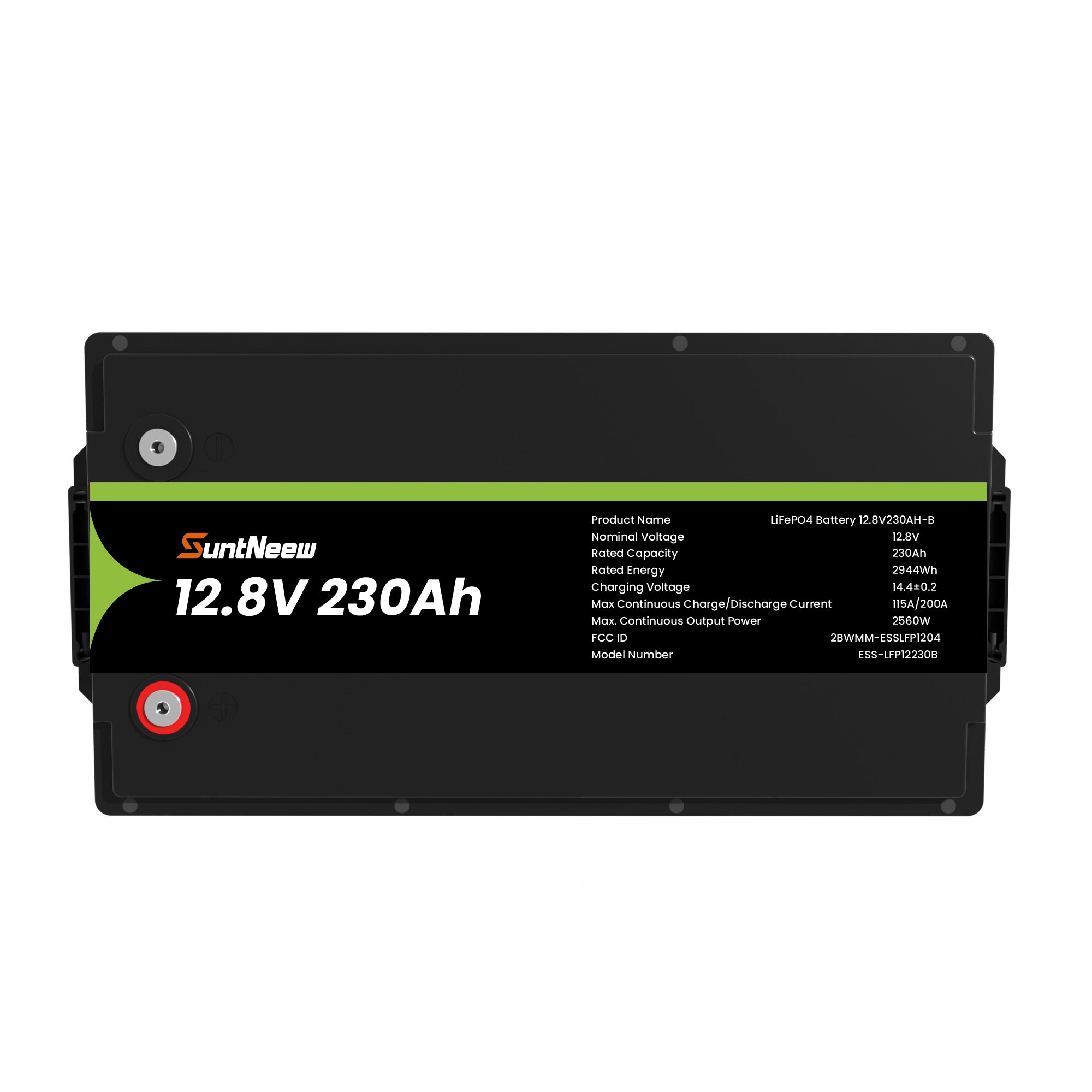 SuntNeew 230Ah LiFePO4 battery M8 terminal and polarity detail